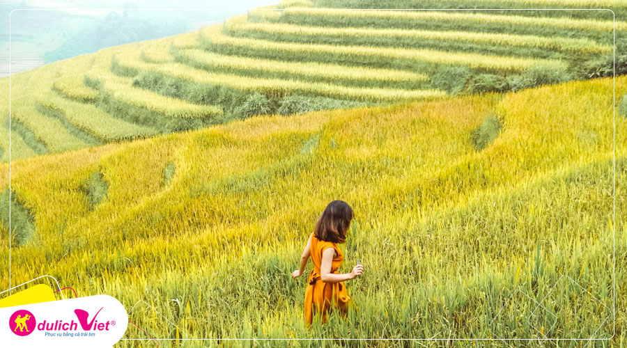 Du Lịch Mai Châu - Mộc Châu - Yên Bái - Sapa mùa lúa chín bay Vietnam Airlines từ Sài Gòn