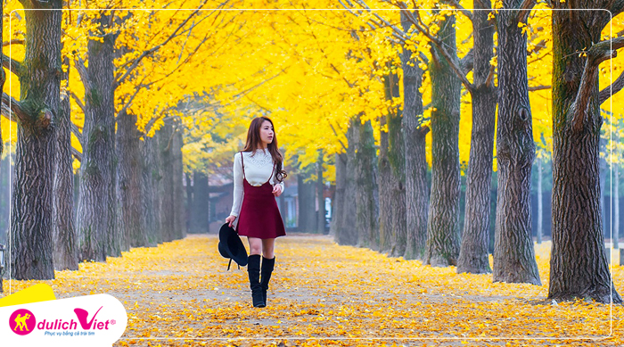 Du lịch mùa Thu Hàn Quốc - Seoul - Nami - Everland - Làng Pháp - China Town từ Hà Nội