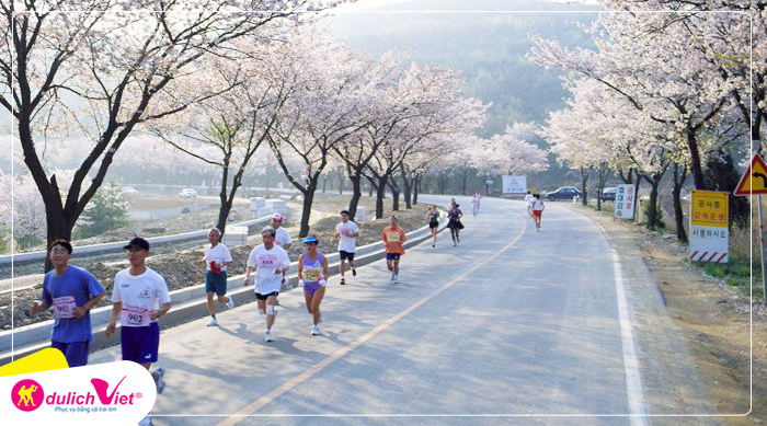 Du lịch Hàn Quốc mùa Hoa Anh Đào - Gyeongju Marathon lần thứ 32 từ Sài Gòn 2025