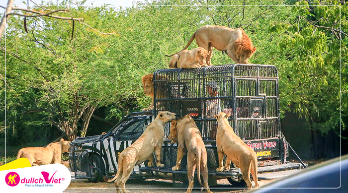 Safari-World-du-lich-viet(1)