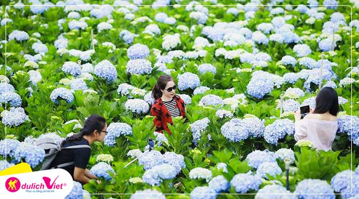 Combo du lịch Đà Lạt 3 ngày khởi hành từ Sài Gòn giá tốt 2025
