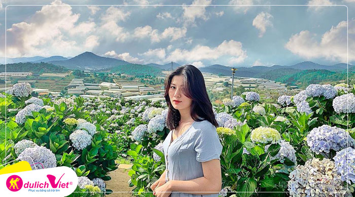 Du lịch Tết Âm lịch Tour Du lịch Đà Lạt Đồi Chè Cầu Đất - Cafe Mê Linh - Nông Trại Cún Puppy từ Sài Gòn 2025