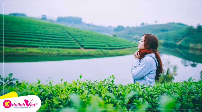 tour-da-lat-doi-che-cau-dat-du-lich-viet