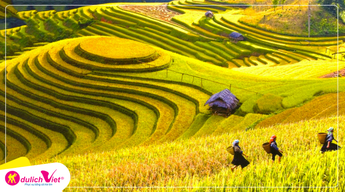 Du lịch Hà Nội - Mù Cang Chải - Yên Bái - Sapa từ Sài Gòn 2025