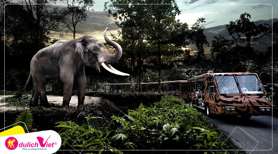 Free and Easy - Combo River Safari and Night Safari with Two-Way Transfer