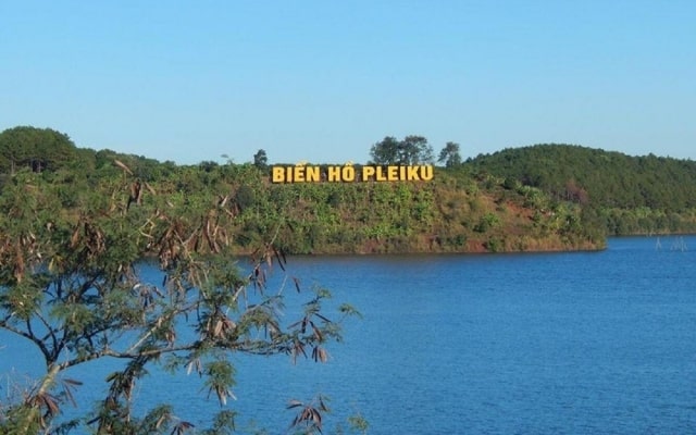 p>