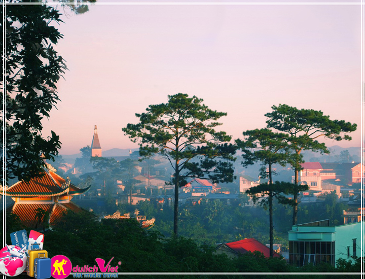 Tour Đà Lạt - Khám Phá Vườn Rau Thuỷ Canh 3 ngày Tết Dương Lịch 2025