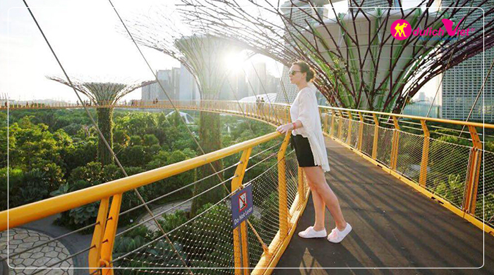 tour-he-singapore-garden-by-the-bay-du-lich-viet(1)